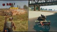 吃鸡抖音爆料视频大全,精彩瞬间尽收眼底