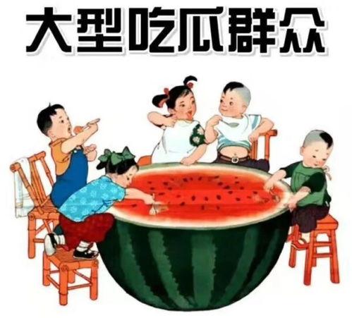 呆呆吃瓜的小说免费阅读,穿越时空的甜蜜冒险