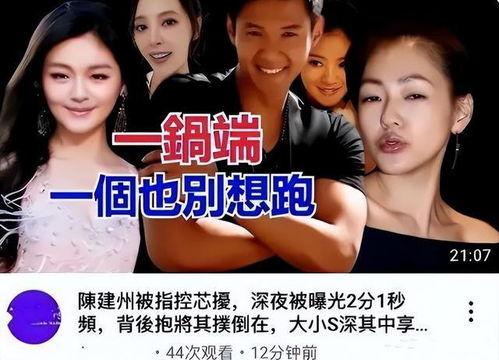 台媒爆料大s视频全集,惊人真相曝光