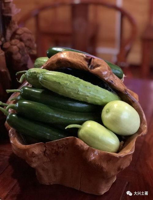 网红蔡二哥吃瓜,揭秘网红圈幕后故事  第1张